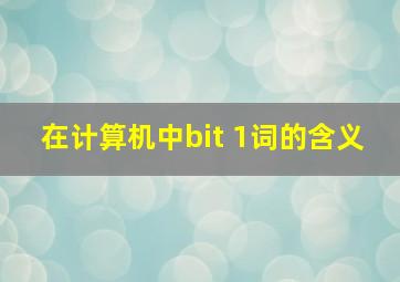 在计算机中bit 1词的含义